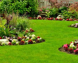 ​LANDSCAPE MAINTENANCE
